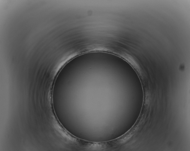 X0000089970806200707061159
