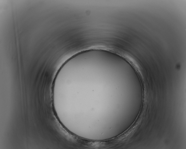 X0000089970808200707061159
