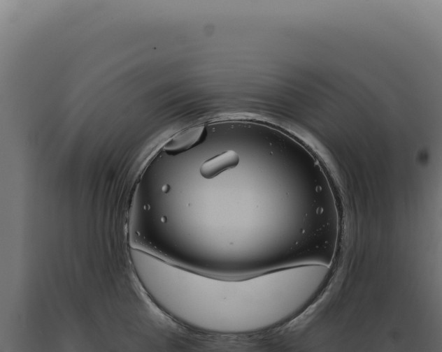X0000089970809200707061159
