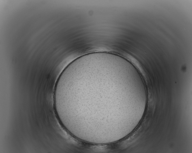 X0000089970810200707061159