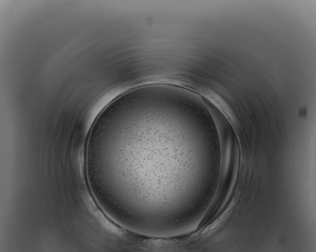 X0000089970812200707061159