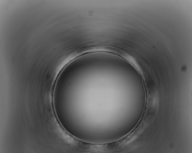 X0000089970813200707061159