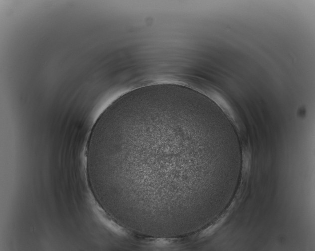 X0000089970814200707061159