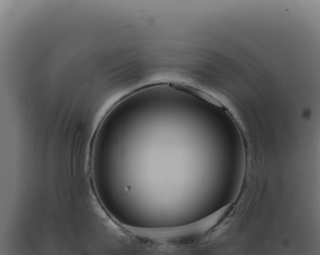 X0000089970815200707061159