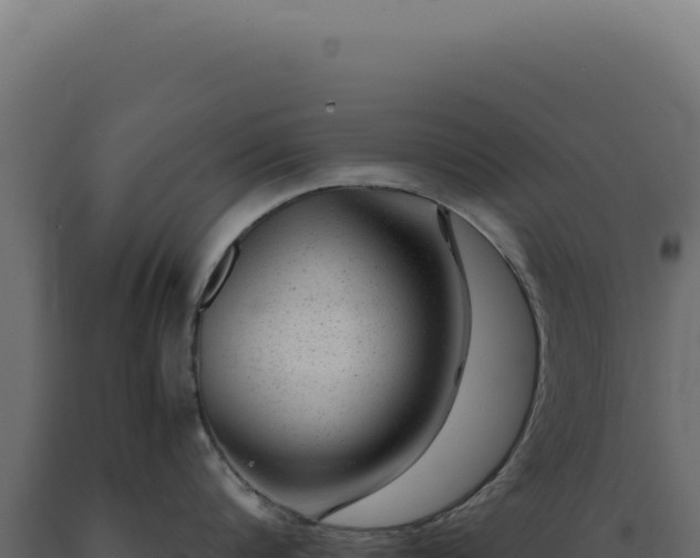 X0000089970816200707061159