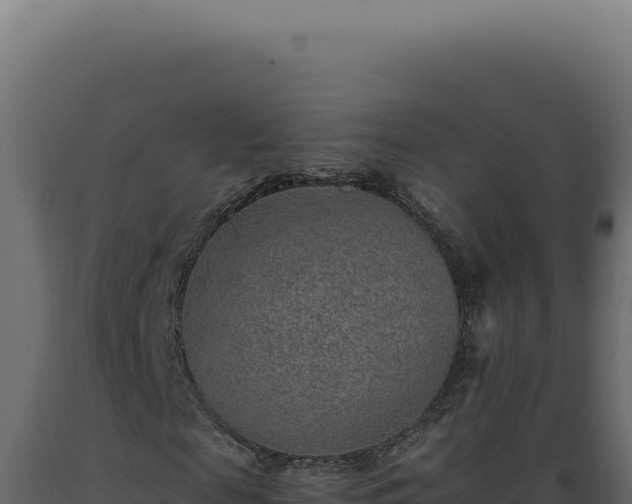 X0000089970817200707061159