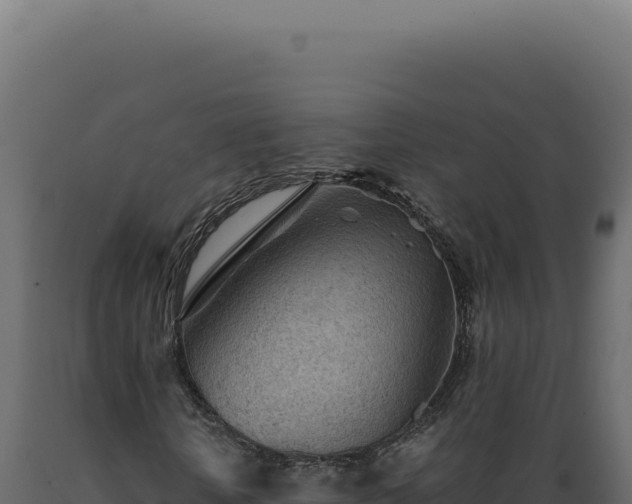 X0000089970818200707061159