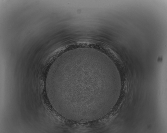 X0000089970821200707061159