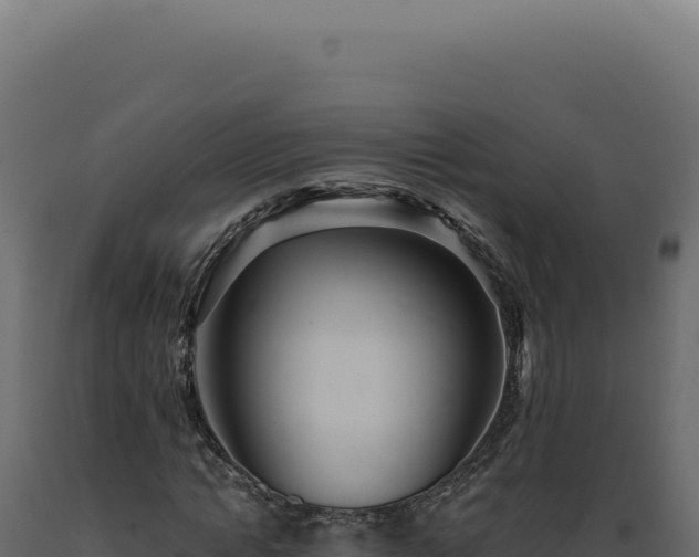 X0000089970822200707061159