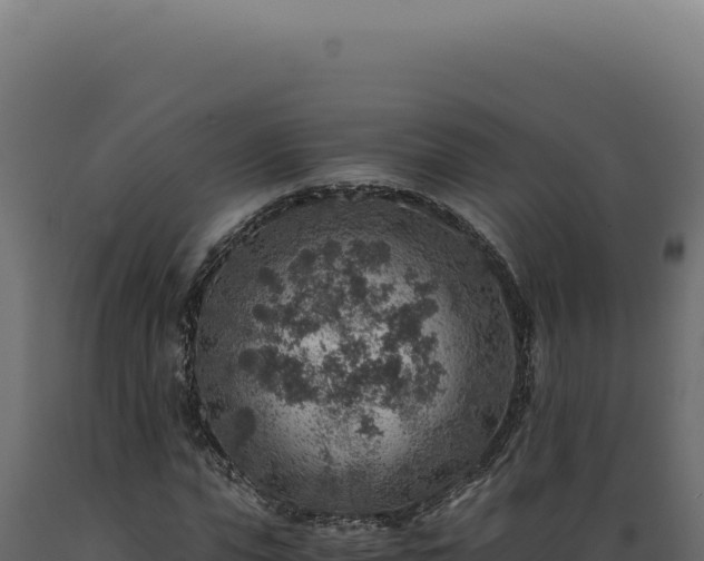 X0000089970823200707061159