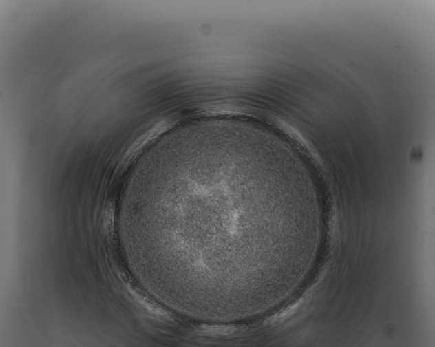 X0000089970825200707061159