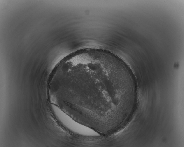 X0000089970829200707061159