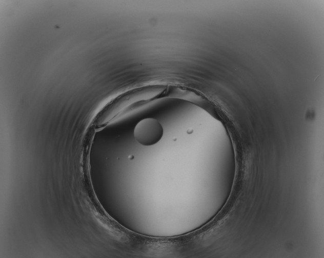 X0000089970830200707061159