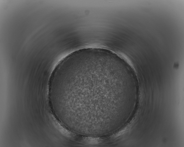 X0000089970831200707061159