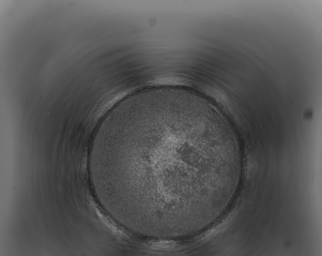 X0000089970833200707061159