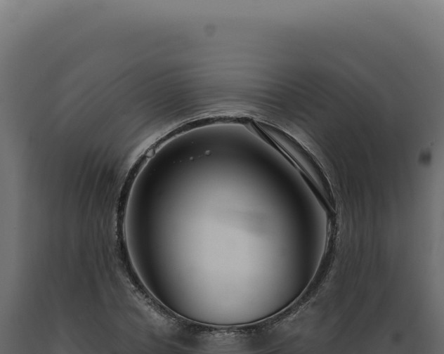 X0000089970834200707061159