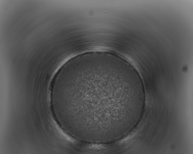 X0000089970835200707061159