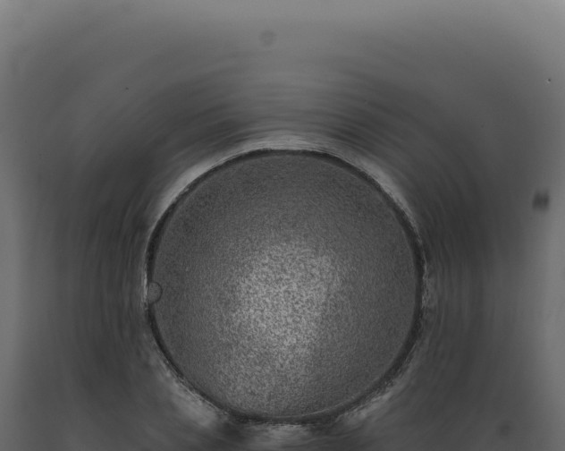X0000089970837200707061159