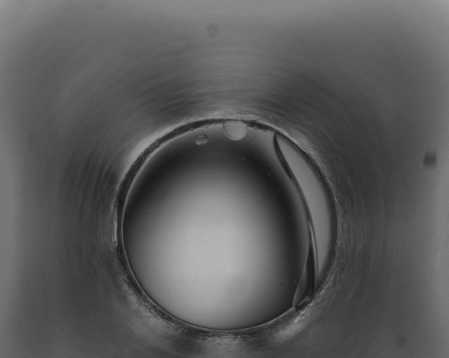 X0000089970838200707061159