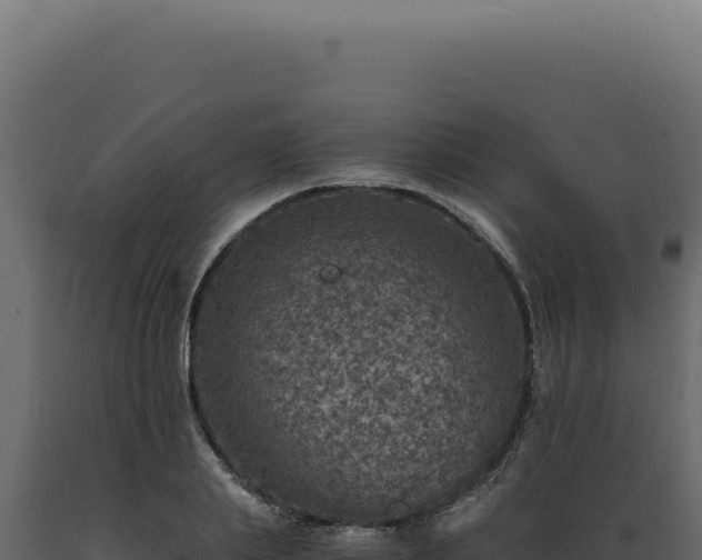 X0000089970839200707061159