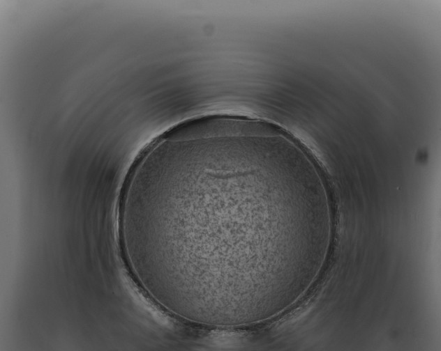 X0000089970840200707061159
