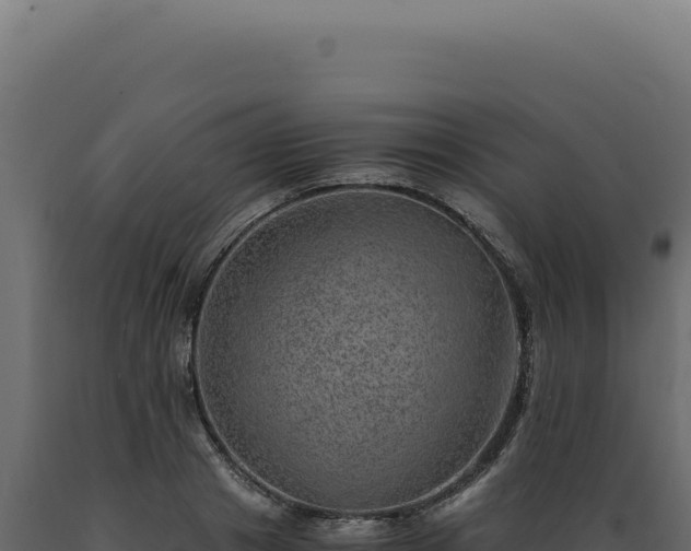 X0000089970841200707061159
