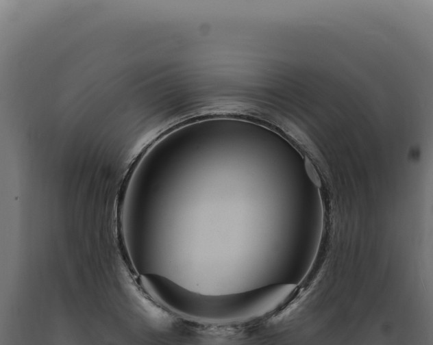 X0000089970842200707061159