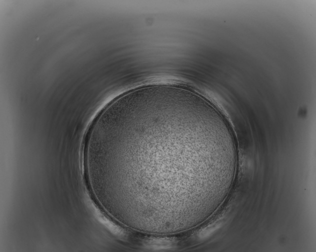 X0000089970843200707061159