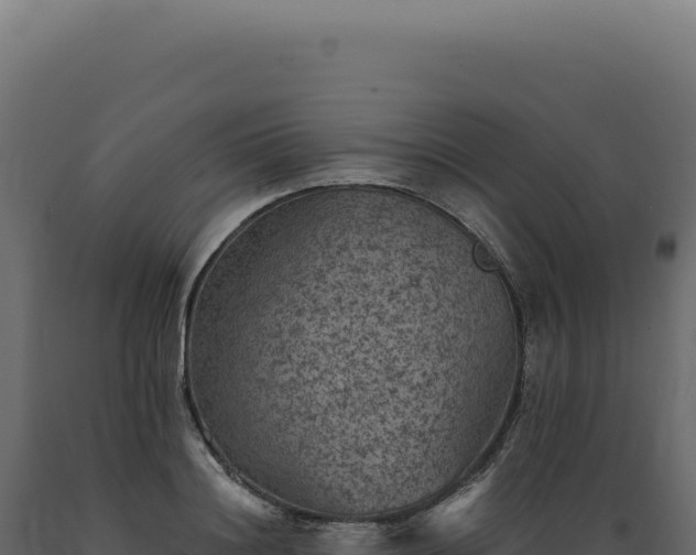 X0000089970844200707061159