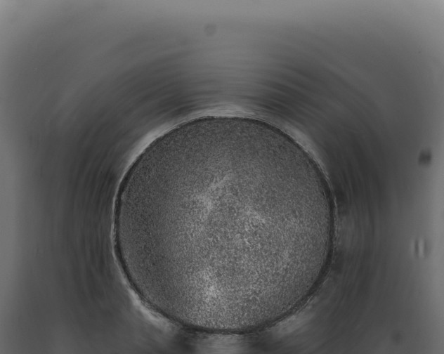 X0000089970845200707061159