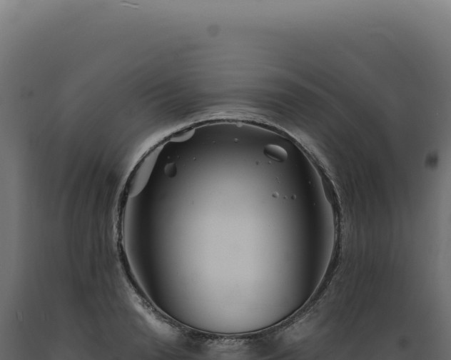 X0000089970846200707061159