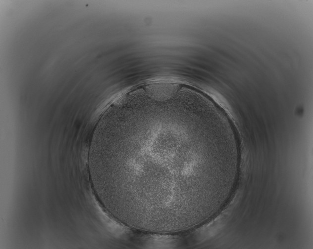 X0000089970849200707061159