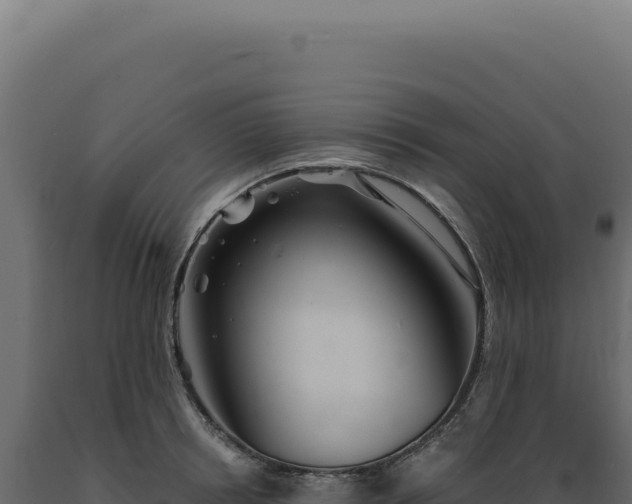 X0000089970850200707061159