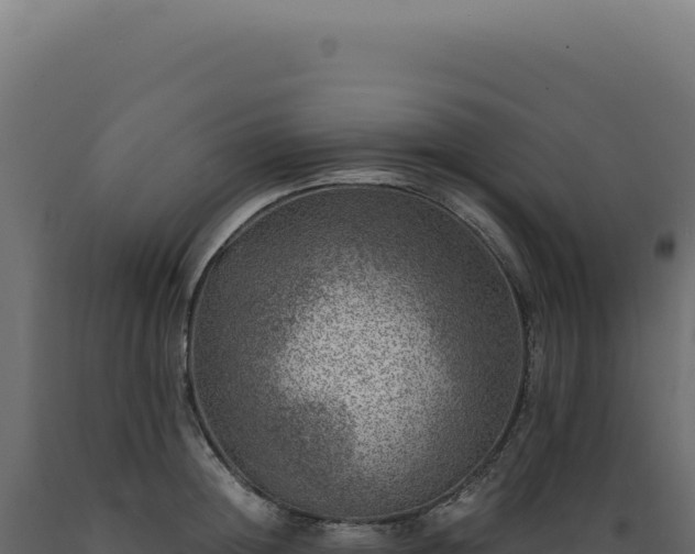 X0000089970852200707061159