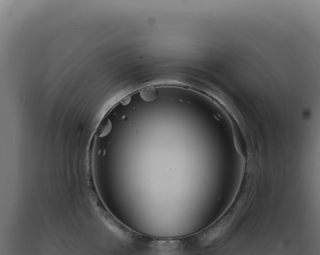 X0000089970858200707061159