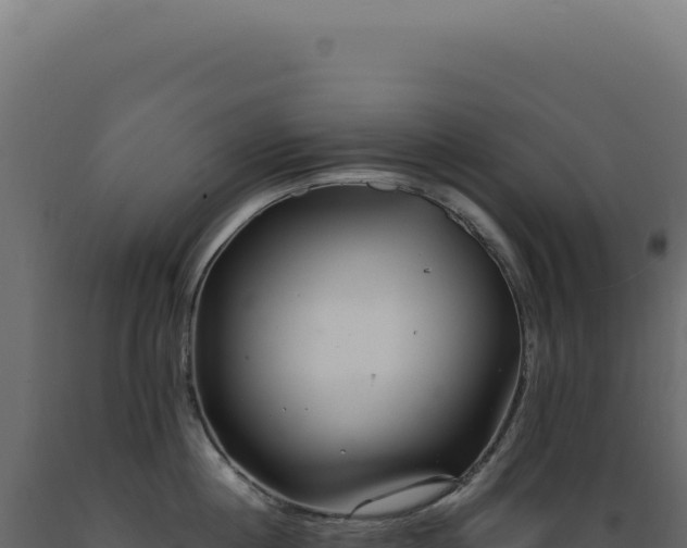 X0000089970860200707061159