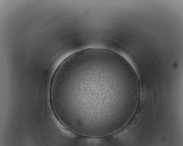X0000089970861200707061159