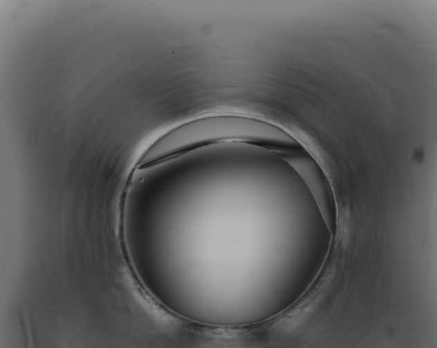 X0000089970862200707061159