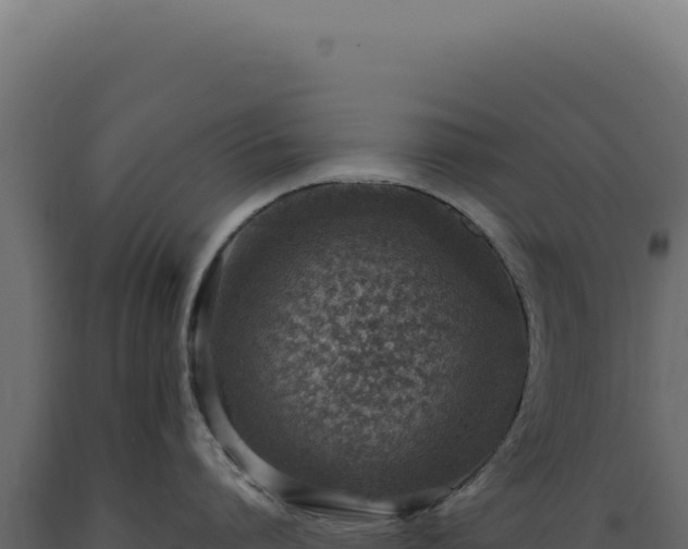 X0000089970864200707061159