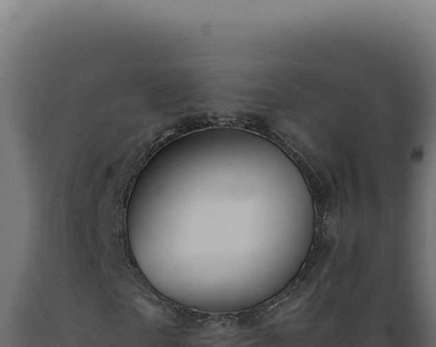 X0000089970865200707061159