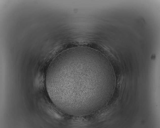 X0000089970866200707061159