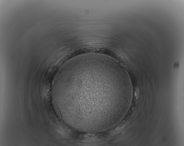 X0000089970867200707061159