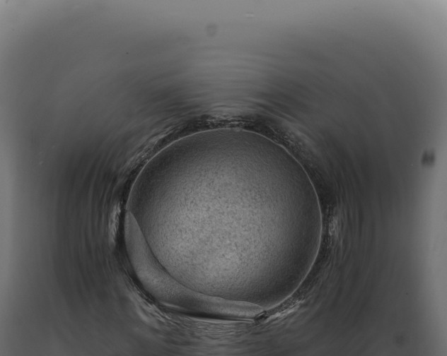 X0000089970868200707061159