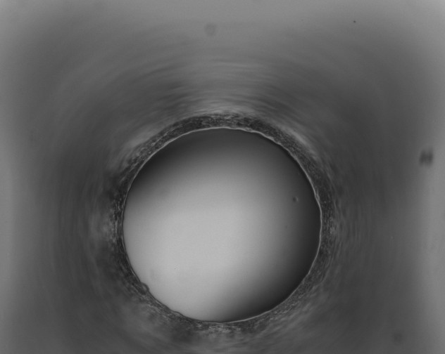 X0000089970869200707061159