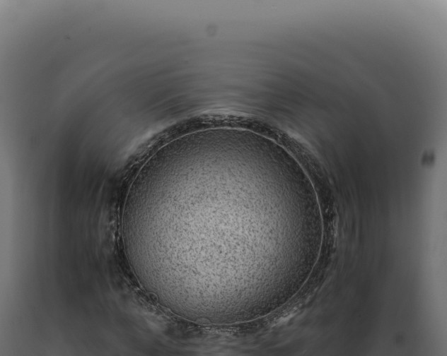 X0000089970870200707061159