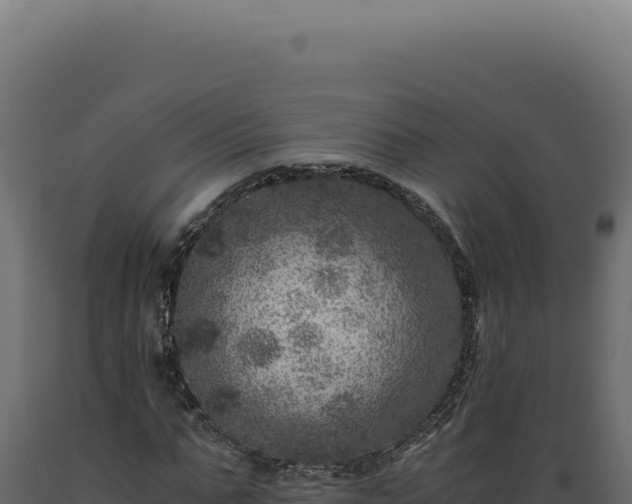 X0000089970871200707061159