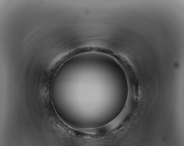 X0000089970872200707061159