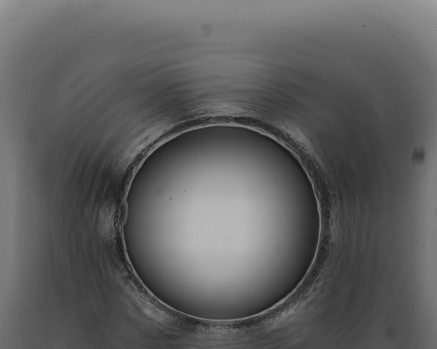 X0000089970873200707061159