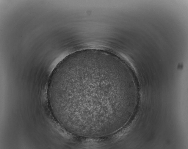 X0000089970875200707061159