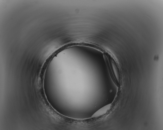 X0000089970876200707061159